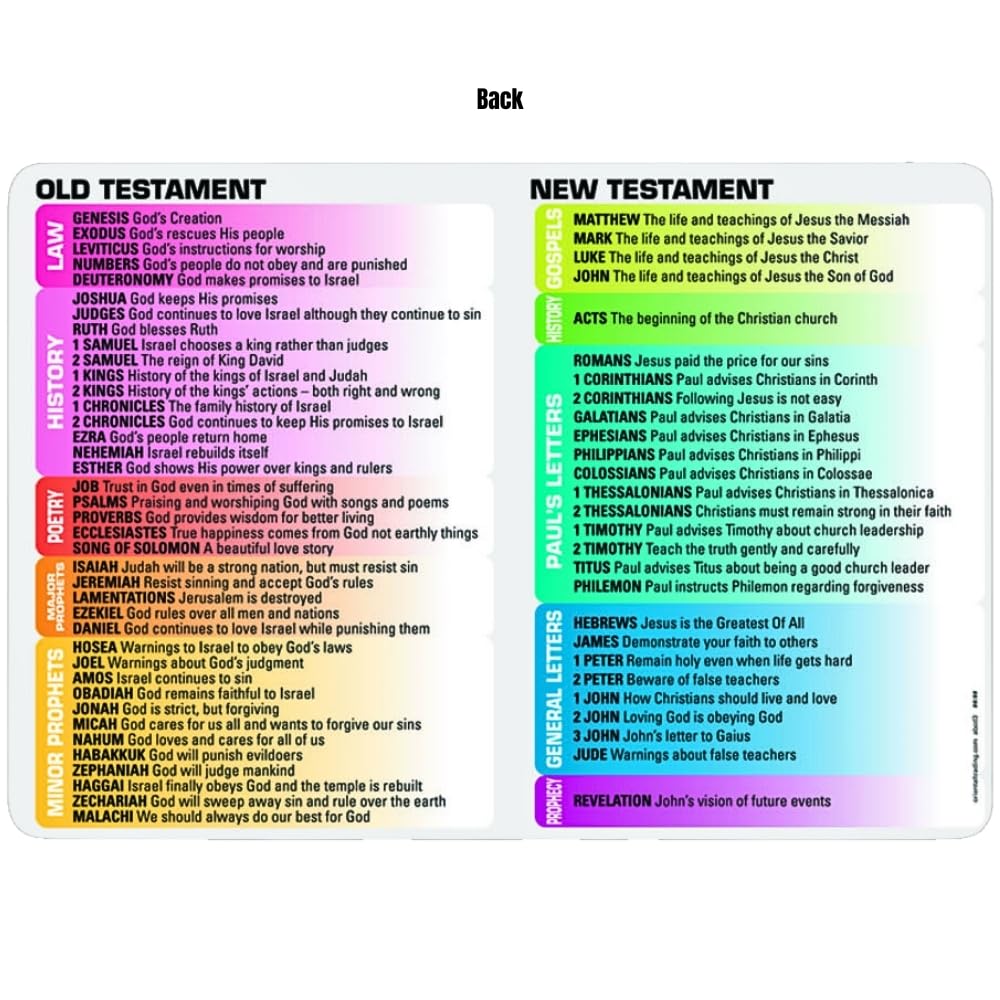 Amazon.co.jp: Fun Express Book of The Bible Handoutカード - 子供の